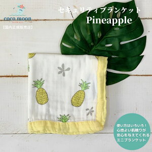 yz~juPbg ZLeBuPbg RR[ Pineapple nC ou[X ^I ɂɂ Sѕz Ԃ xr[ LbY lxr[Mtg oYj oY