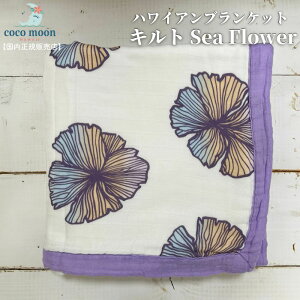 yzuPbg 8dK[[ RR[ Sea Flower nC ou[X ^IPbg LguPbg xr[ LbY l  lC Mtg oYj oY K