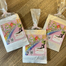 デトックスティ POWERFULUP TEA 1包入×9袋　お試し　旅行用　送料無料　便秘　Made in JAPAN 　黒豆　ゴールデンキャンドル　デトックス　腸活　ローズヒップ　無添加　お茶　2袋　セット　美肌