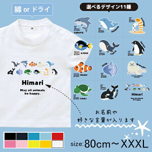  O  TVc  100 yM CJ V` `AiS JNN}m~ [ T  ] IWiT a v[g ǂ LbY WjA xr[ 낢 Z