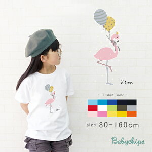 TVc  [ t~S ] oYj v[g 킢 LbY 80 - 150cm IV  l[ O IWi I[_[ 낢 N R[f ǂ LbY  ~ H q 