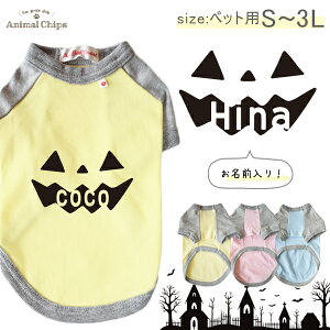 nEB   ybg   ڂ J{`  O O  񂿂 m PumpkinFace nI[_[Ch lƂ낢 O  ˂ L lR 