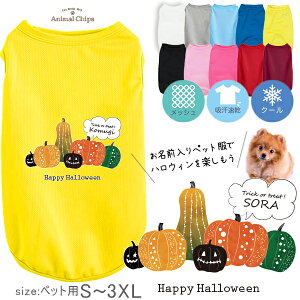 y[֑z nEB ybg  halloween    ^Ngbv hC ybg bV [ pvL ] I[_[Ch O   U v[g 