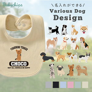  O X^C  mIׂ錢nR[M[ r[O uh[ Hc _bNX t`u _VA pO S[f [NV[eA gCv[h WbNbZ