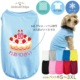 【メール便送料無料】 名入れ 服 犬 誕生日 タンクトップ ドライ ペット メッシュ [ Birthday Cake] バースデー お誕生日 ケーキ プレゼント オリジナル 名前入り ワンちゃん ねこ 猫 ネコ おさんぽ お散歩 ギフト 贈り物 ペット用品 ギフト 名前 プレゼント お出かけ dtk