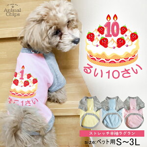 a o[XfC  ybg   O CX^ O IWi  񂿂 m Birthday Cake nI[_[Ch 낢 j O   U v