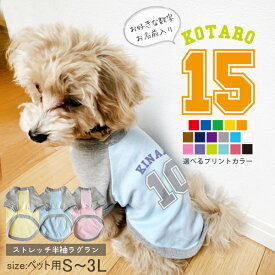 名入れ ペット 服 半袖 ラグラン スポーツ アメカジ お名前入り オリジナル 犬 わんちゃん ［ ベースボール ロゴ ］ バスケットボール 野球 オーダーメイド おそろい ワンちゃん おさんぽ お散歩 プレゼント ギフト 贈り物 ペット用品 おそろい お出かけ 人気 おしゃれ skr