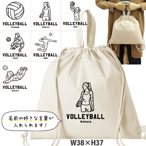 o[{[ fUC O В ibvTbN lCi  ꏡ 2way m ȃibv o[{[CXg ] oYj v[g `[ 낢  l[ O w