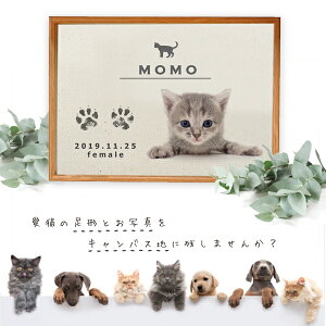 yzL ` ` ʐ^ ( LpALoX ) L̓ lR̓ ˂̓ cat̓ ˂̂  ʐ^ĕt CN X^v eL L^ Mtg a t O 