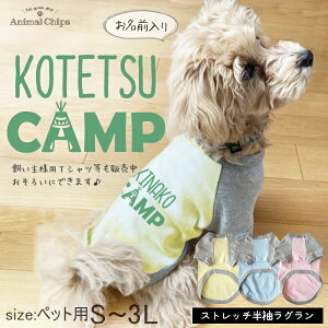 ybg   O O Lv  eg IWi  񂿂 AEghA [ Lv S ] Vv v[g I[_[ O Vv IV CX^ ʐ^