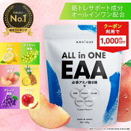 【17日9:59まで1000円OFFクーポン発行中】【アンビーク / AMBIQUE】オールインワンEAA 620g 送料無料 国…