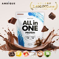 初心者でもはじめやすい"オールインワン"【アンビーク / AMBIQUE】オールインワン プロテイン 1kg 置き換…