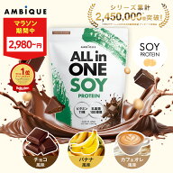【大特価★MAX27%OFF！ 2日20時より】美容成分オールインワン【アンビーク / AMBIQUE】オールインワン ソ…