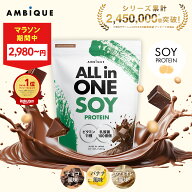 【大特価★MAX27%OFF！ 11日1:59まで】美容成分オールインワン【アンビーク / AMBIQUE】オールインワン …
