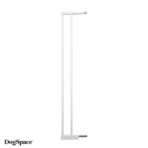 VIDogSpace {j[ ǉGNXeV BD851852