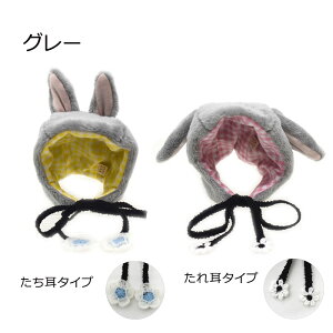 Xq 傫߃TCY ^ ^ ybgXq xr[ R[f  hbO 蕨 j̎q ̎q IV 킢 蕨 Mtg Y ɂ ybgACe VN N