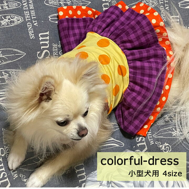 楽天市場】カラフルワンピース 小型犬用 犬服 ペットウェア 犬 フリル 