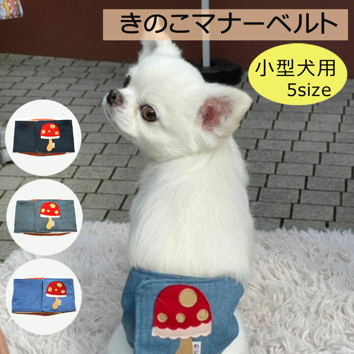 楽天市場】マナーベルト きのこ 小型犬用 厚手 犬 お出かけ かわいい 