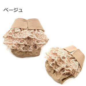 }i[pc [X ^p ^ ^  o ybg tH[} 킢 R[f ` gCv[h _bNX S[fg[o[ }i[pi bZ[X 