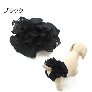 }i[pc [X ^p ^ ^  o ybg tH[} 킢 R[f ` gCv[h _bNX S[fg[o[ }i[pi bZ[X 