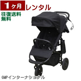 1ヶ月レンタル Air Buggy COCO PREMIER / エアバギーココ プレミア 往復送料無料