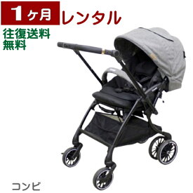 1ヶ月レンタル スゴカルSwitch plus エッグショック EX AN 往復送料無料