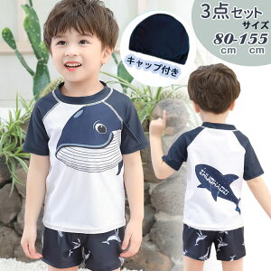 Lbvt LbY j̎q  Zp[g q XC~O  WjA q bVK[h UVJbg pc wZ w O΍ xr[ XCEFA  ct 