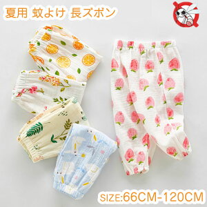 LbY pc ăpc q j̎q ̎q Opc 悯pc JWA ėp  ǂ Y{ h  EGXgSĕ qǂ TGpc  pW}