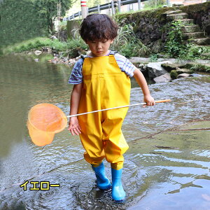 q EF[_[ ̎q j̎q vCEFA C tC h  C c V ނ  LbY ꒅ I[C sN u[ CG[ 15-22cm