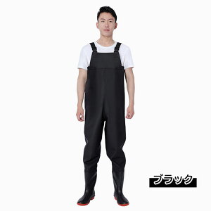 EF[_[ `FXgnC Y fB[X  C C ނ _  |  tBbVOX[c  23-28.5cm 4F