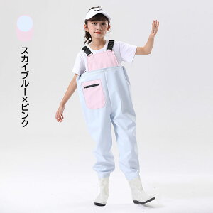 V u[ct EF[_[  EFA qp ̎q j̎q LbY vCEFA 7F 킢 C tC h  C c V ނ ꒅ I[C 15-22cm 