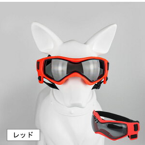 S[O ^ TOX O΍ h UVJbg S[Oی pS[O U oCN ^]p ybgpዾ hԕ h h t@bV qڂ̕یp S M 3F  ubN 