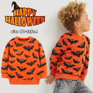 nEB p[J[ LbY qRXv j̎q ̎q  g[i[ ڂF RE XEFbg gbvX H ~ xr[  t@bV JWA SnK ʋC 