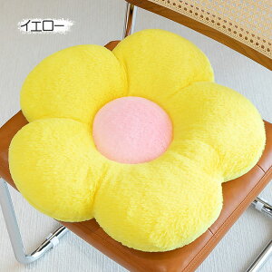 2_Zbg zc  t[ V[gNbV ӂӂ 킢 `FApbh ʃNbV w  wp q Ƃ𑕏 ݑ Mtg v[g 10F I[V[