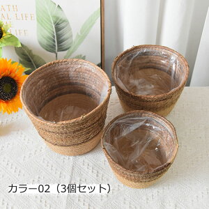 Aؔ 3_Zbg ϗtA Ԕ hnt  O  K[fjO G JS |i  ҂ oRj[ x_  i`  @\[ S M L