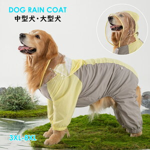 pCR[g ^ ^ ̕ ėp hbOEFA J ̃Jbp JH   4{ JH h ~J |` AE^[ Jbp AEghA U 3XL-8XL