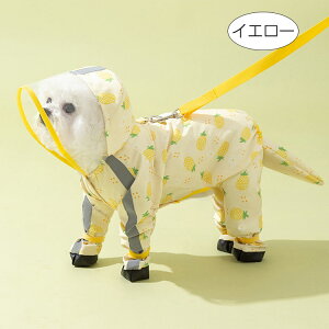 ~J΍ pCR[g |` ^ ^ DOt  Xqt ̕ 킢 ʕ ėp hbOEFA J ̃Jbp JH   4{ JH h AE^[ J
