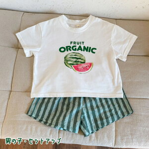 q ZR[f o  NR[f ĕ ZbgAbv ㉺Zbg s[X j̎q ̎q xr[ LbY o킨 ؍q  킢 a v[g 80 90 100 11