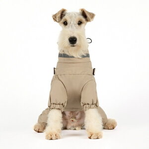   ~ g ȃR[g 4{ _EWPbg R[g n[lX^Cv n[lXtR[g Wbp[ ̎q j̎q IX X ^ ^ ^ hbOEFA ̕ ybg h