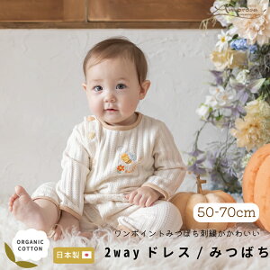 y Amorosa mamma z2WAY hX ݂΂  phX ݂΂ 50-70  I[KjbNRbg oYj { Ԃ j xr[ V a 蕨 Mtg v[g  