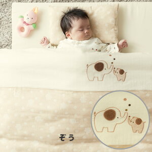 ͂Đ킸g I[KjbN xr[zc 11_ { M[ [S6] 120 70 xr[ Ԃ V xr[zcZbg _uK[[ 100 Y xr[Q 킢 xr[ӂ