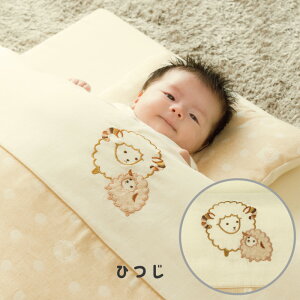 ͂Đ킸g I[KjbN xr[zc 11_ { M[ [S6] 120 70 xr[ Ԃ V xr[zcZbg _uK[[ 100 Y xr[Q 킢 xr[ӂ