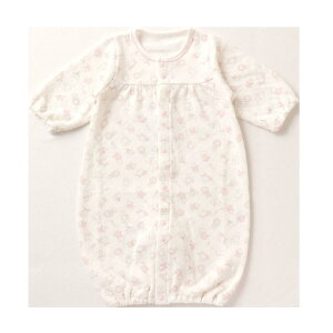 y{z _CLg T[JX c[EFCI[ m҃Xibvtւ/2wayn V Ԃ xr[ 50-70cm 킢  Aj} sN CG[ j̎q ̎q ӂ 