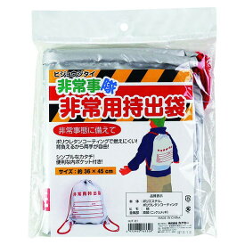 防災リュック のみ 一人用 防火 撥水 11L シルバー こども おしゃれ カクセー 非常事隊（ひじょうじたい） 非常用持出袋 HJT-01