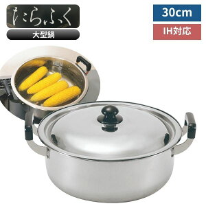 ^ 30cm e IHΉ KXΑΉ XeX  [^ ύݓ ł J[ pX^ ܂Ƃߒ u Ƒp Ɩp Lb`pi JNZ[ ӂ ^ 30cm TF-106