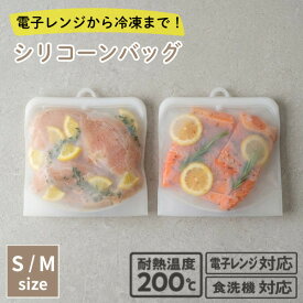シリコンバッグ 保存袋 シリコーンバッグ 耐熱袋 電子レンジ調理 低温調理 湯せん調理 作り置き 冷凍保存 エコバッグ 食洗機対応 和平フレイズ マジカリーノ RE-7260 RE-7261