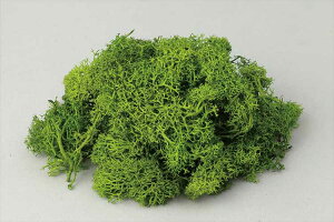 アイスランドモスフレッシュグリーン アーテック グリーンアレンジメント 色鮮やか プリザーブドモス 草 草木 葉っぱ コケ 苔 自然 森 林 スポンジ ジオラマ ミニチュア