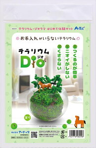 eEDio A[ebN tFCNeELbg eE WI} ȒP jICȂ Ȃ WI}S Lbg sv