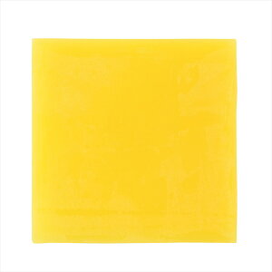 ˂ǃLhV[g  A[ebN ArTec Sy 낤  Lh IWi H }H  ޗ f