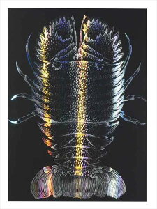 zOXNb`{[hII 190×265mm A[ebN ArTec XNb`A[g IWi i RH }H p A[g fUC